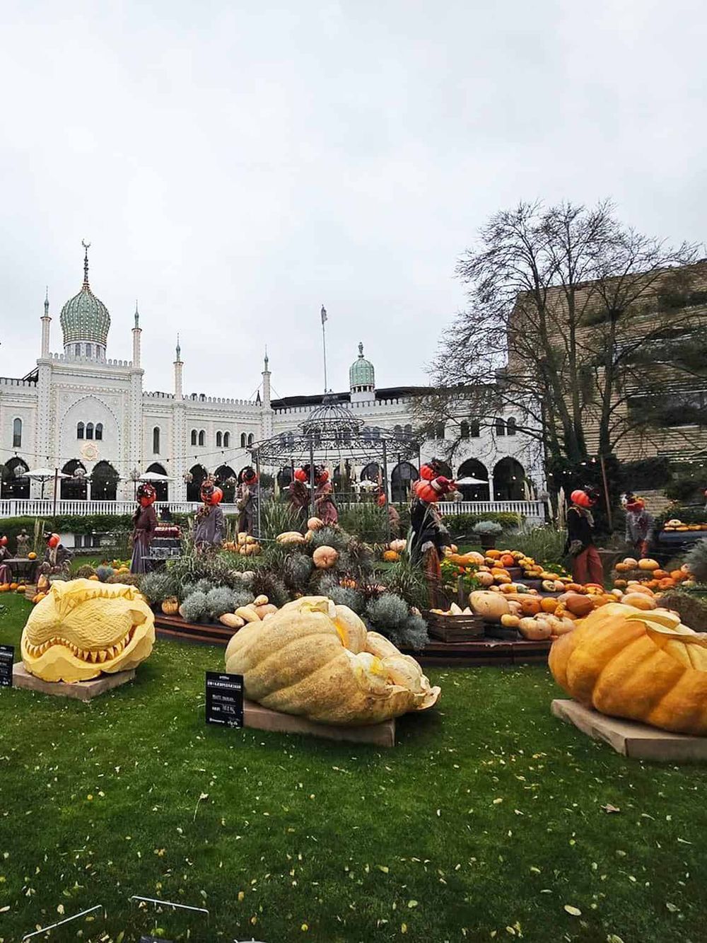 Colorful pumpkin display at Quest for Directions themed event, featuring pumpkins, fall decor, and festive atmosphere.