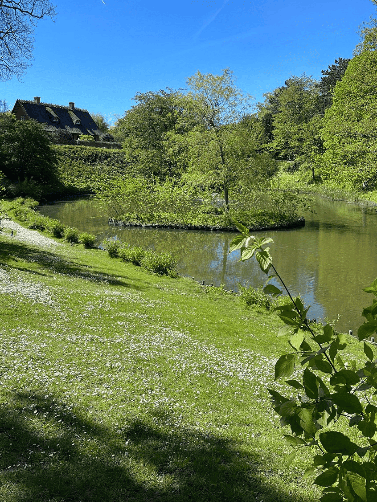 Serene riverside landscape with lush greenery and a house in the distance, perfect for nature exploration.