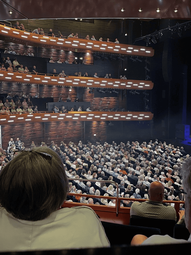 Audience watching a live performance in a modern theater with multi-level seating and wooden accents.