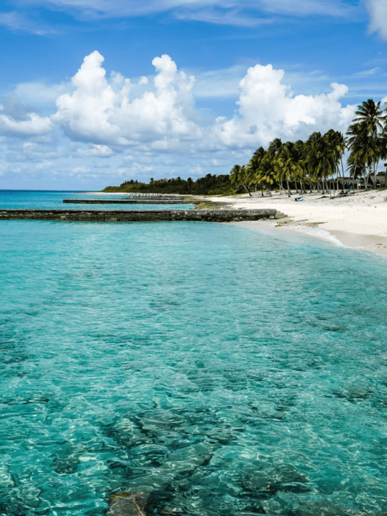 Turquoise ocean and white sandy beach with palm trees at tropical paradise destination.