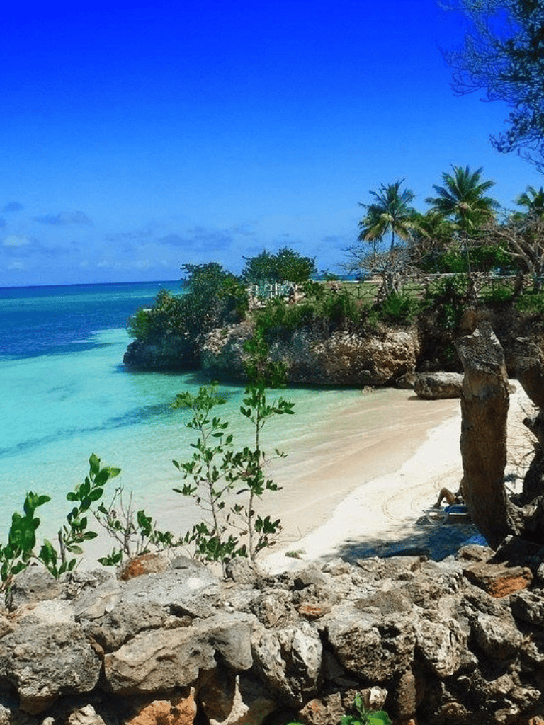 Pristine Caribbean beach with turquoise waters, palm trees, and rocky shoreline for tropical travel destinations.