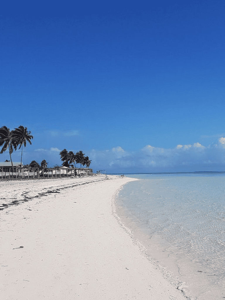 Pristine Caribbean beach with palm trees, white sand, and clear blue water for tropical vacation.