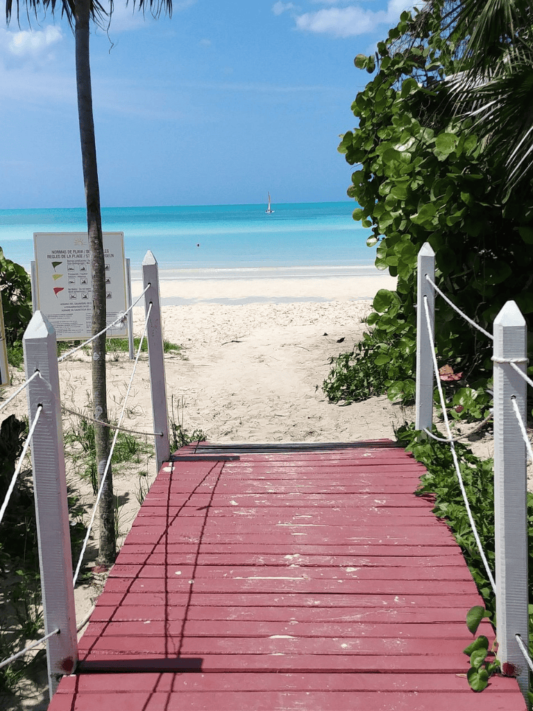 Steam-cleaned, safe beach access pathway to turquoise ocean with sailboat, lush greenery, and sandy shoreline.