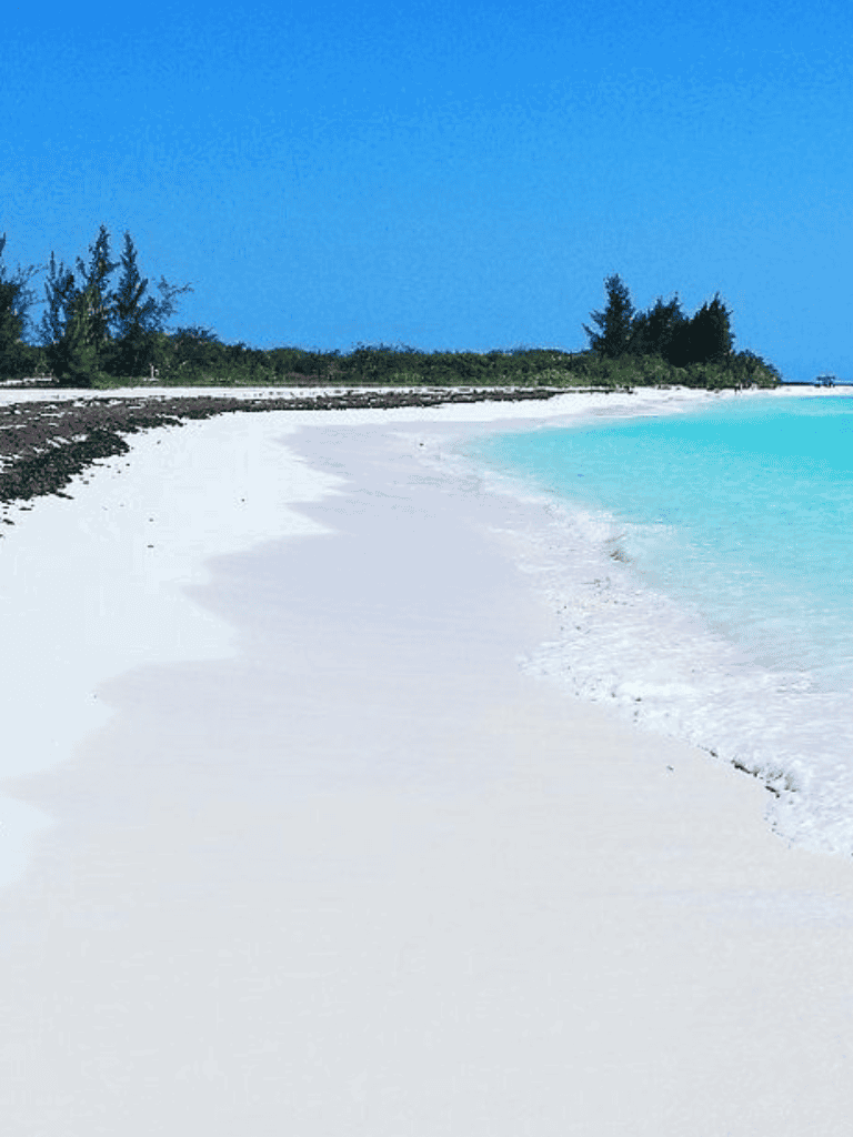 Pristine tropical beach with white sand and turquoise water, perfect for relaxation and travel planning.