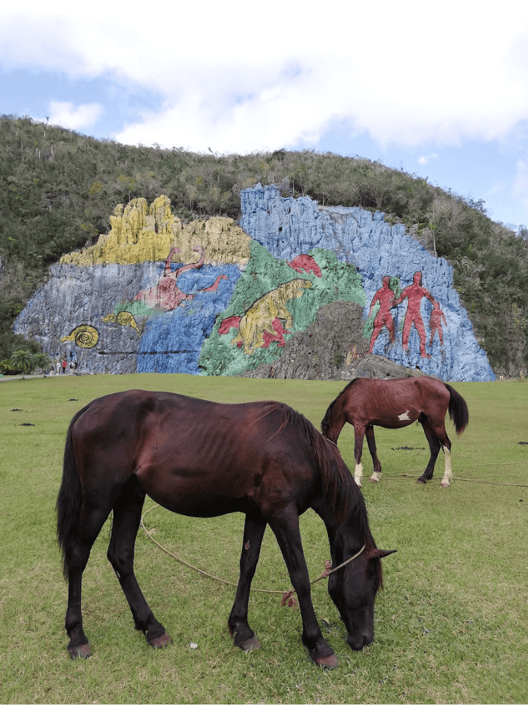 Colorful rocky mountain mural with horses grazing in green field under cloudy sky, exploring nature and outdoor adventure.