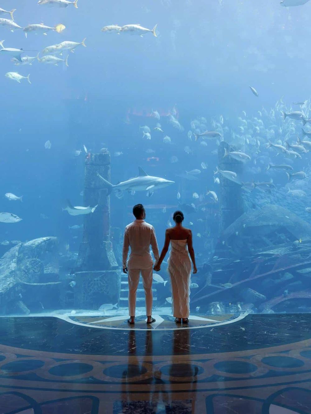 Stunning couple viewing marine life in an aquarium with large fish and aquatic scenery.