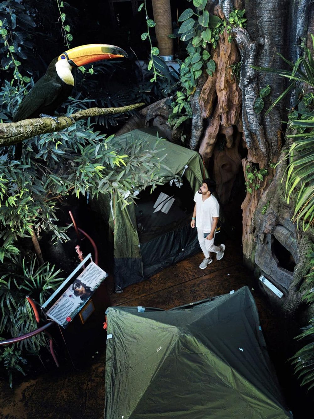 Colorful toucan perched among tropical plants at QuestForDirections indoor nature exhibit.