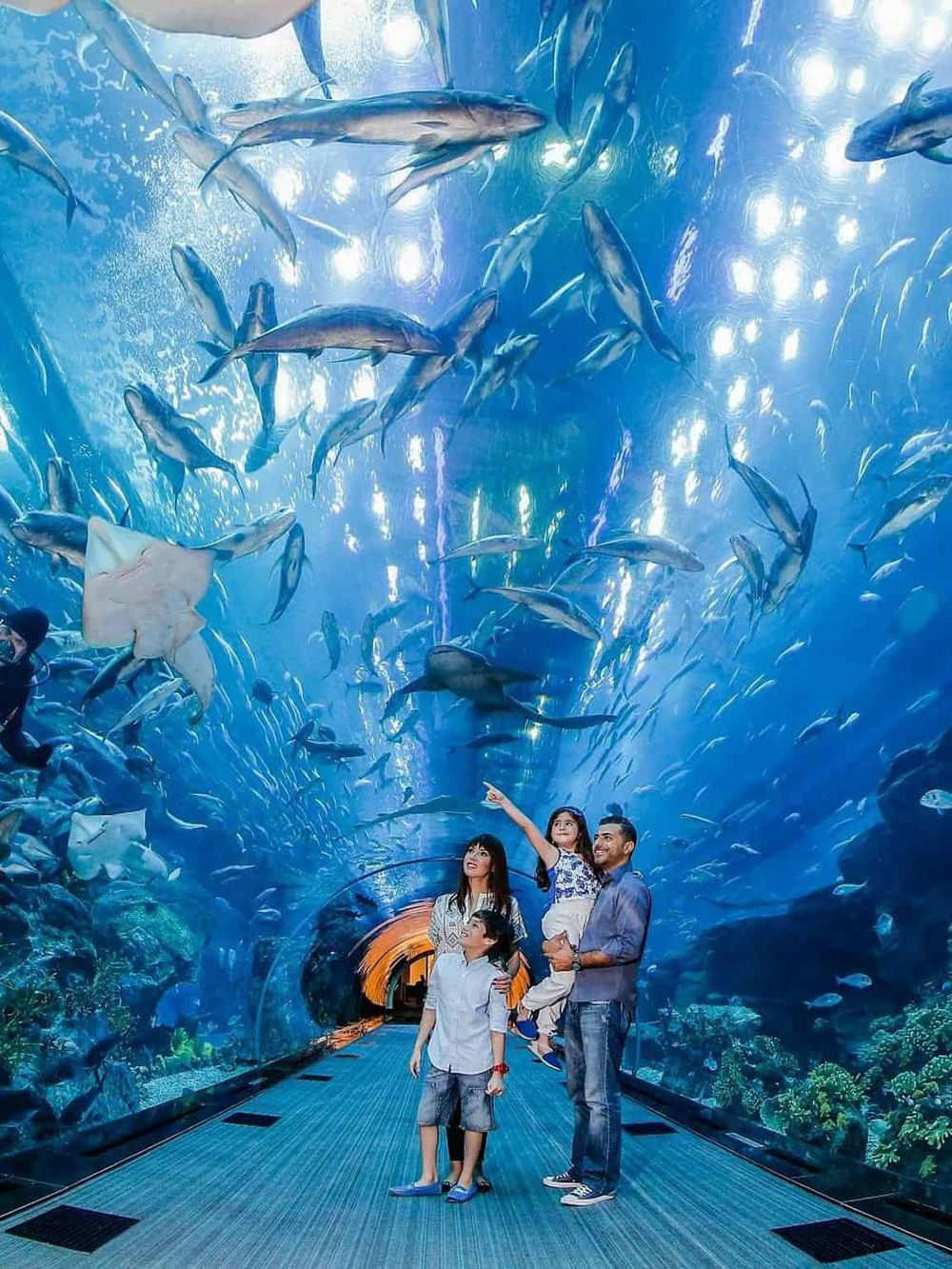 Colorful marine life exhibit at Quest for Directions aquarium, featuring a family exploring underwater ocean scenery.