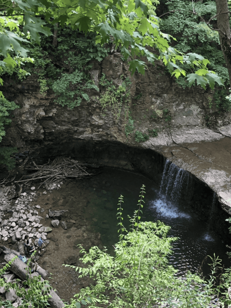 Stone-lined natural spring with waterfall in lush green forest.