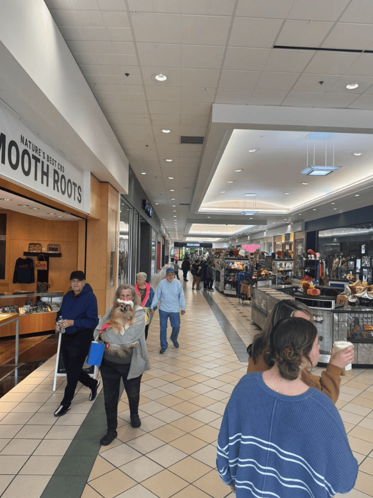 CBD products shop at a shopping mall, shoppers browsing and walking through the mall corridor.
