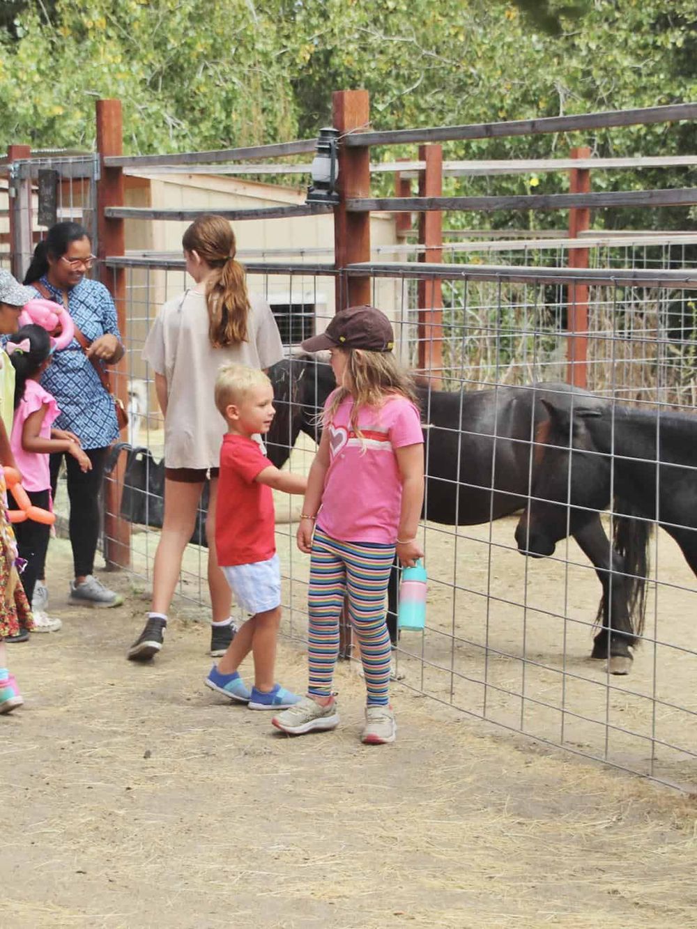 Kids interacting with animals at a family-friendly zoo or animal exhibit.