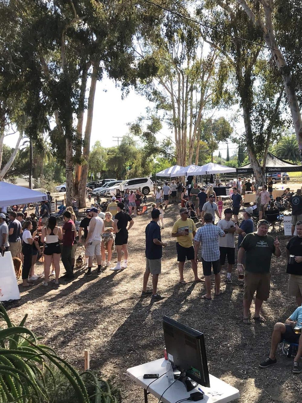 Crowd at an outdoor event with trees, tents, and parked cars, lively gathering in a park setting.