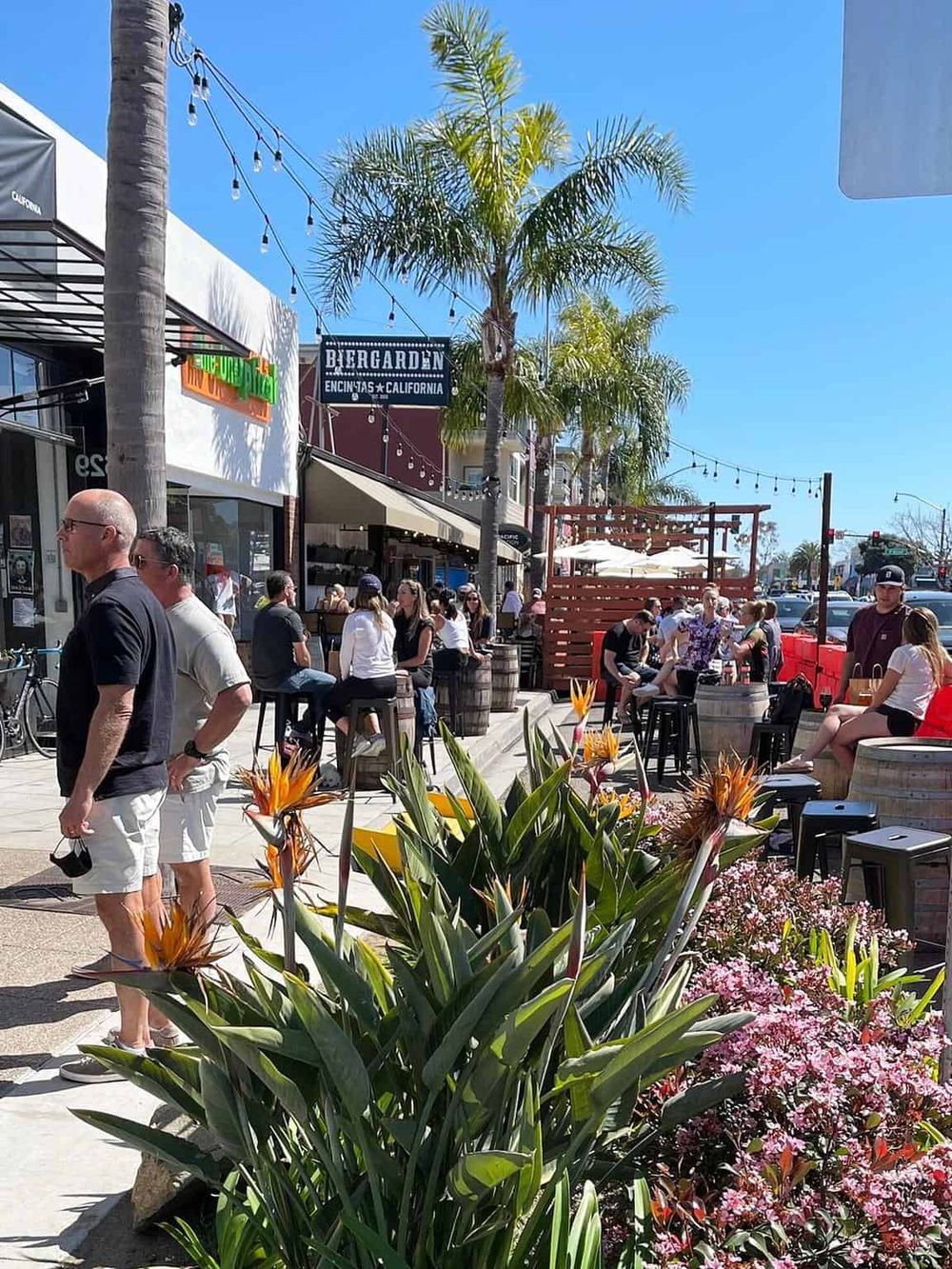 Vibrant outdoor dining scene in Encinitas, California with palm trees and colorful flowers.