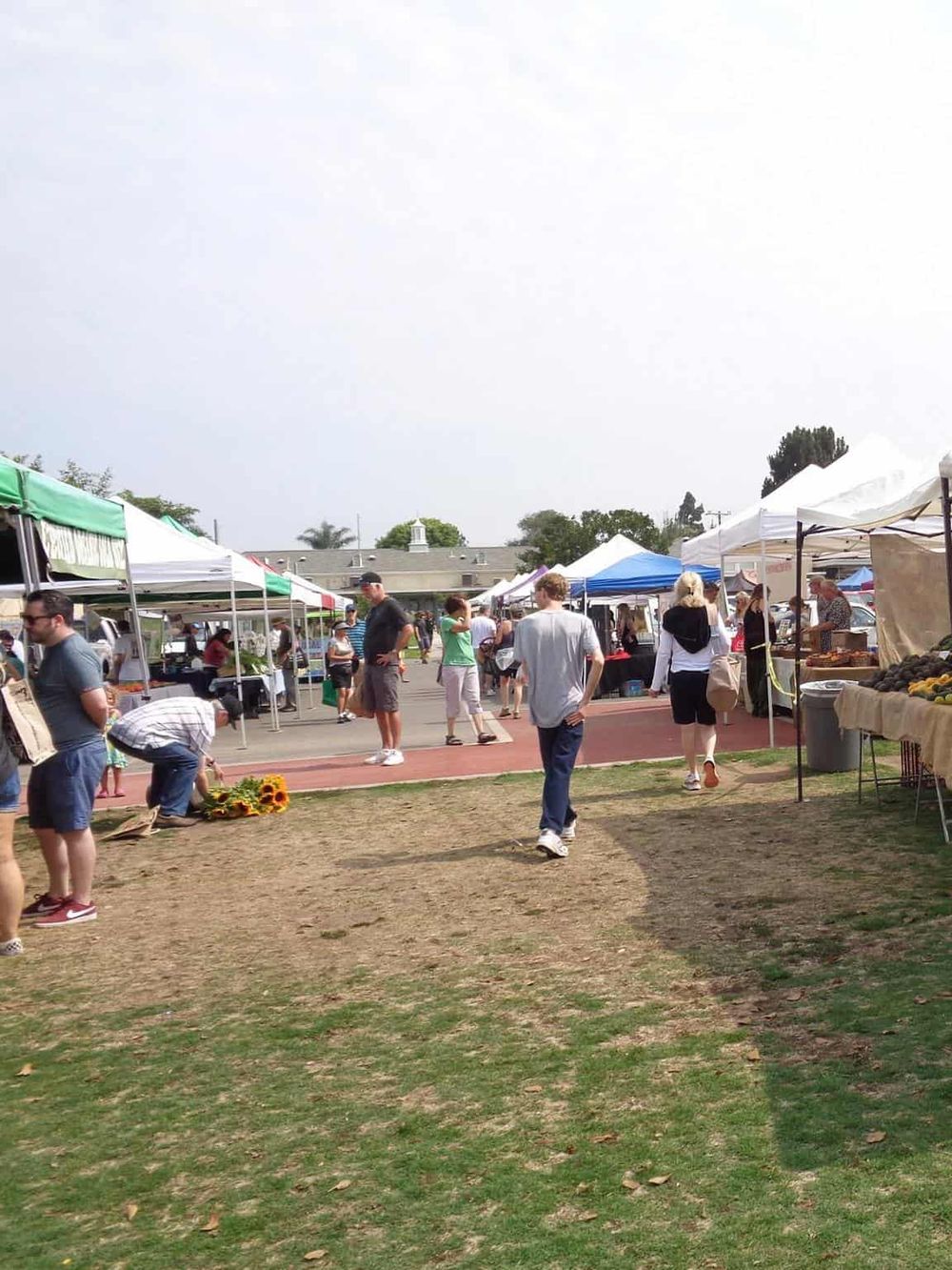 Colorful outdoor farmer's market with various vendors and shoppers, under tents and open sky.