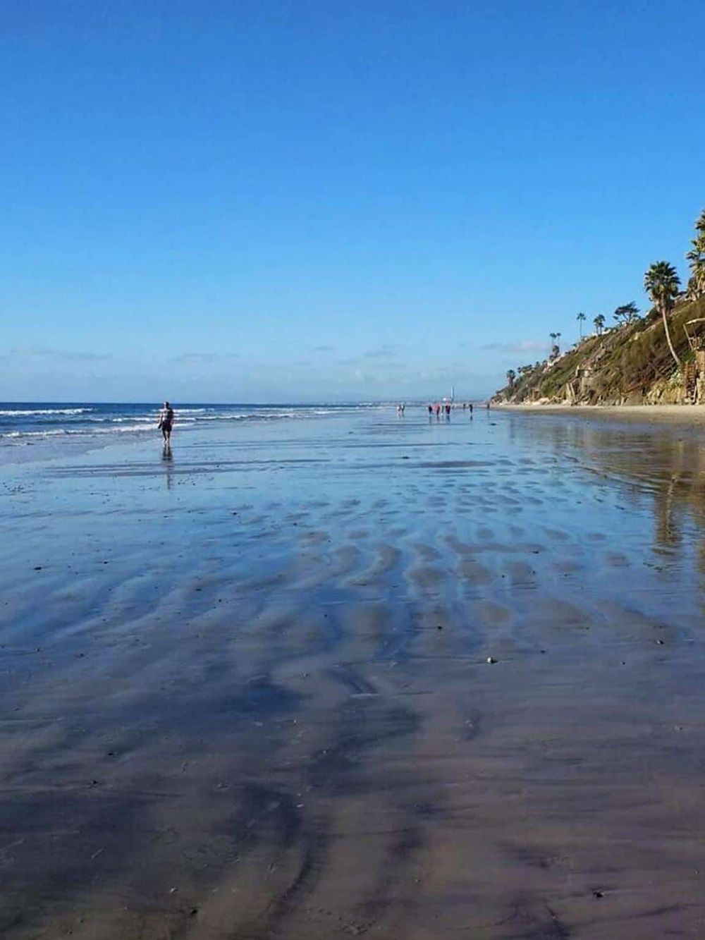 Scenic beach with clear water, palm trees, and people enjoying the shoreline during daytime.