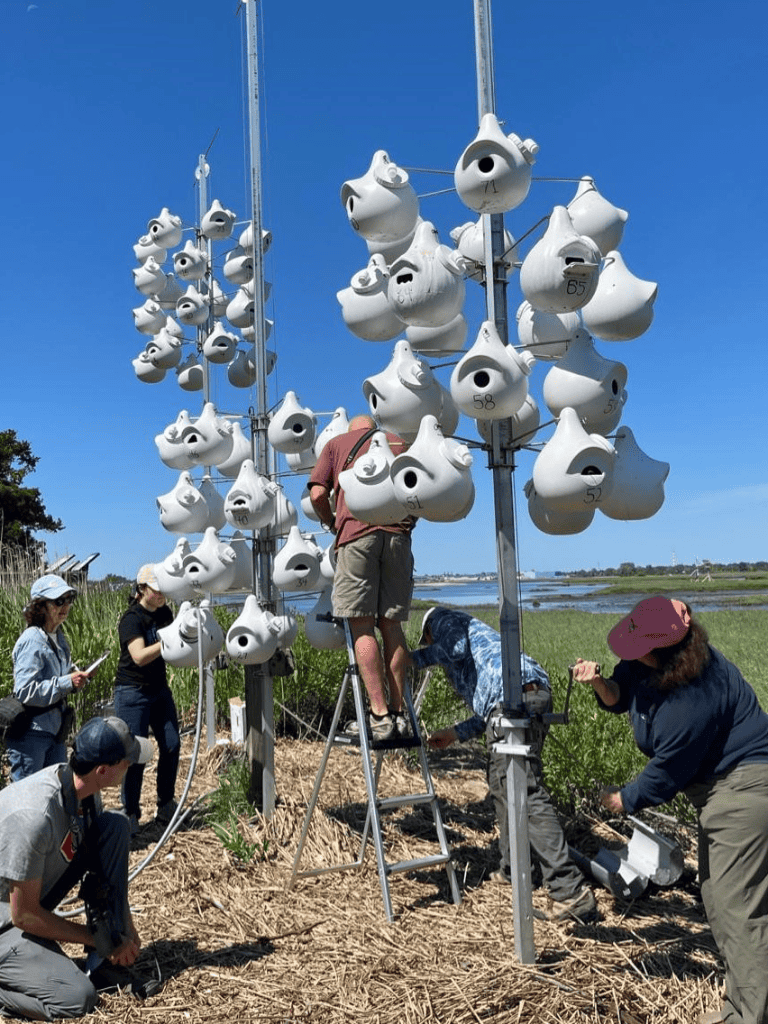 Colorful birdhouse art installation by QuestForDirections with team working outdoors.