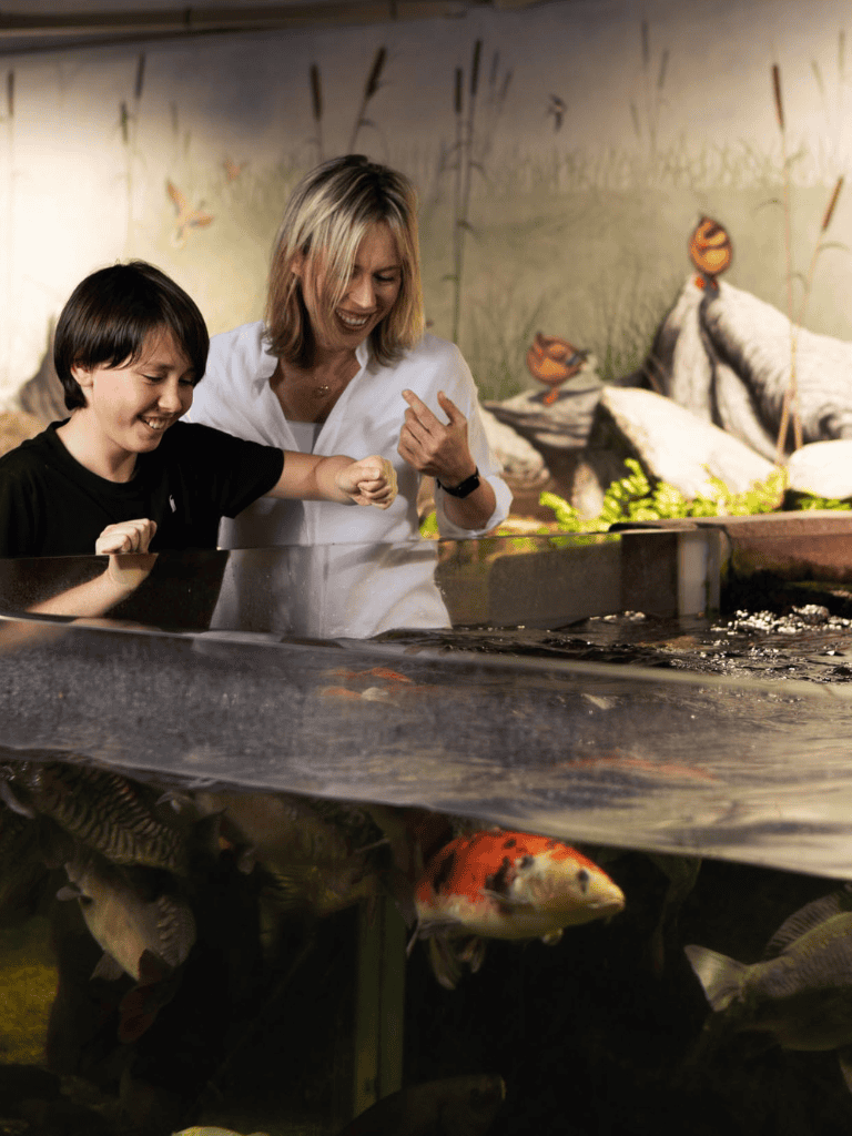 Koi fish pond experience at a wildlife exhibit with children and an instructor.