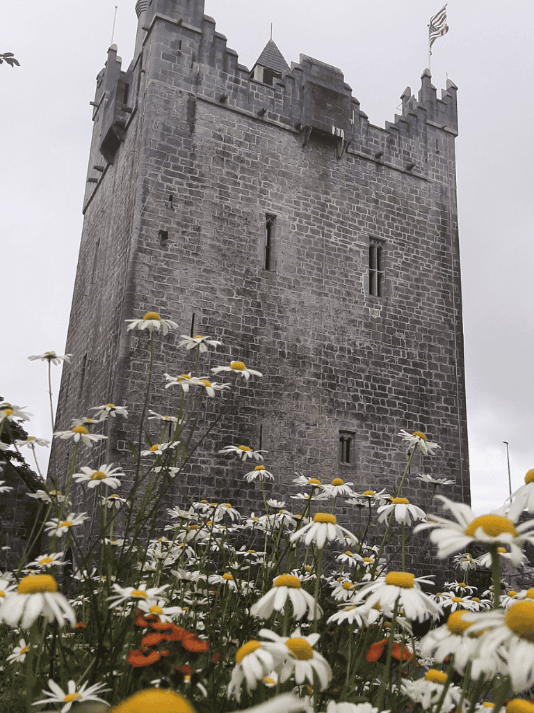 Majestic castle tower surrounded by blooming white daisies with a cloudy sky backdrop.