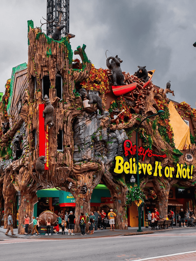 Wildlife-themed attraction with large tree display and animal sculptures at Ripley's Believe It or Not!.