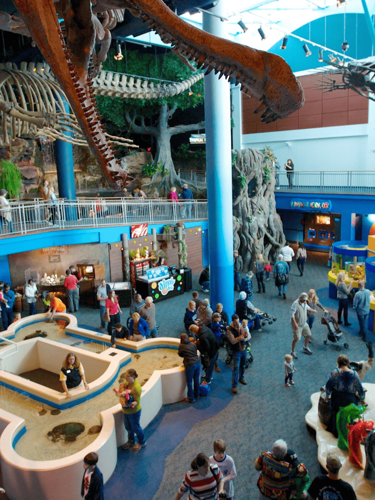 Indoor amusement park with dinosaur exhibits, interactive play areas, and family-friendly attractions.