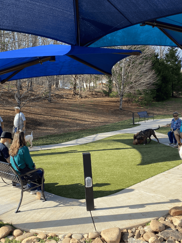 Dog therapy session at QuestForDirections outdoor park area with people and dogs under large blue umbrellas, promoting animal-assisted therapy.