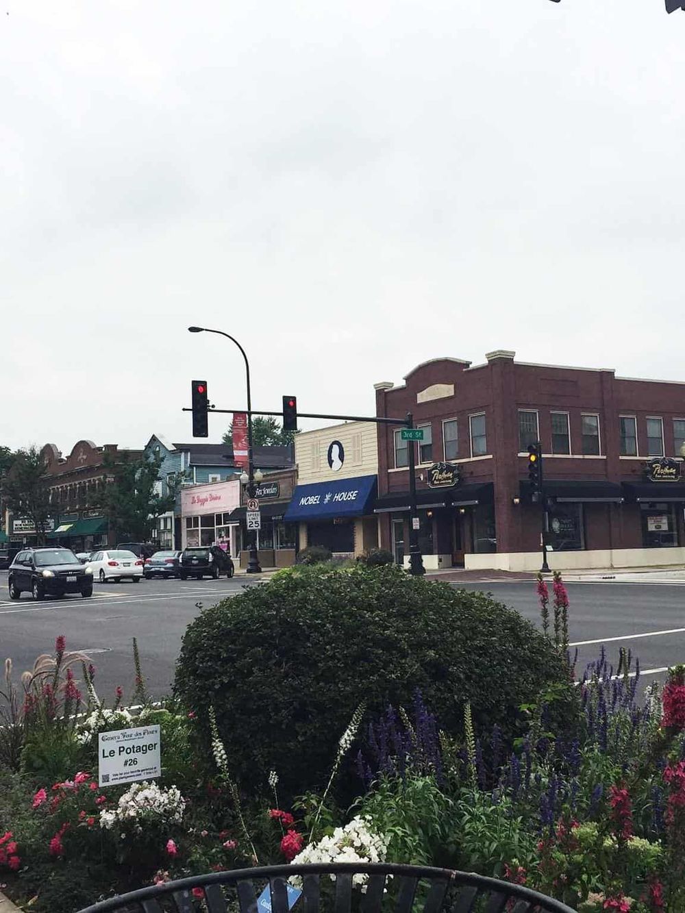 Brightly lit storefronts on a busy street with cars and traffic lights, showcasing local businesses and vibrant flowers in the foreground.