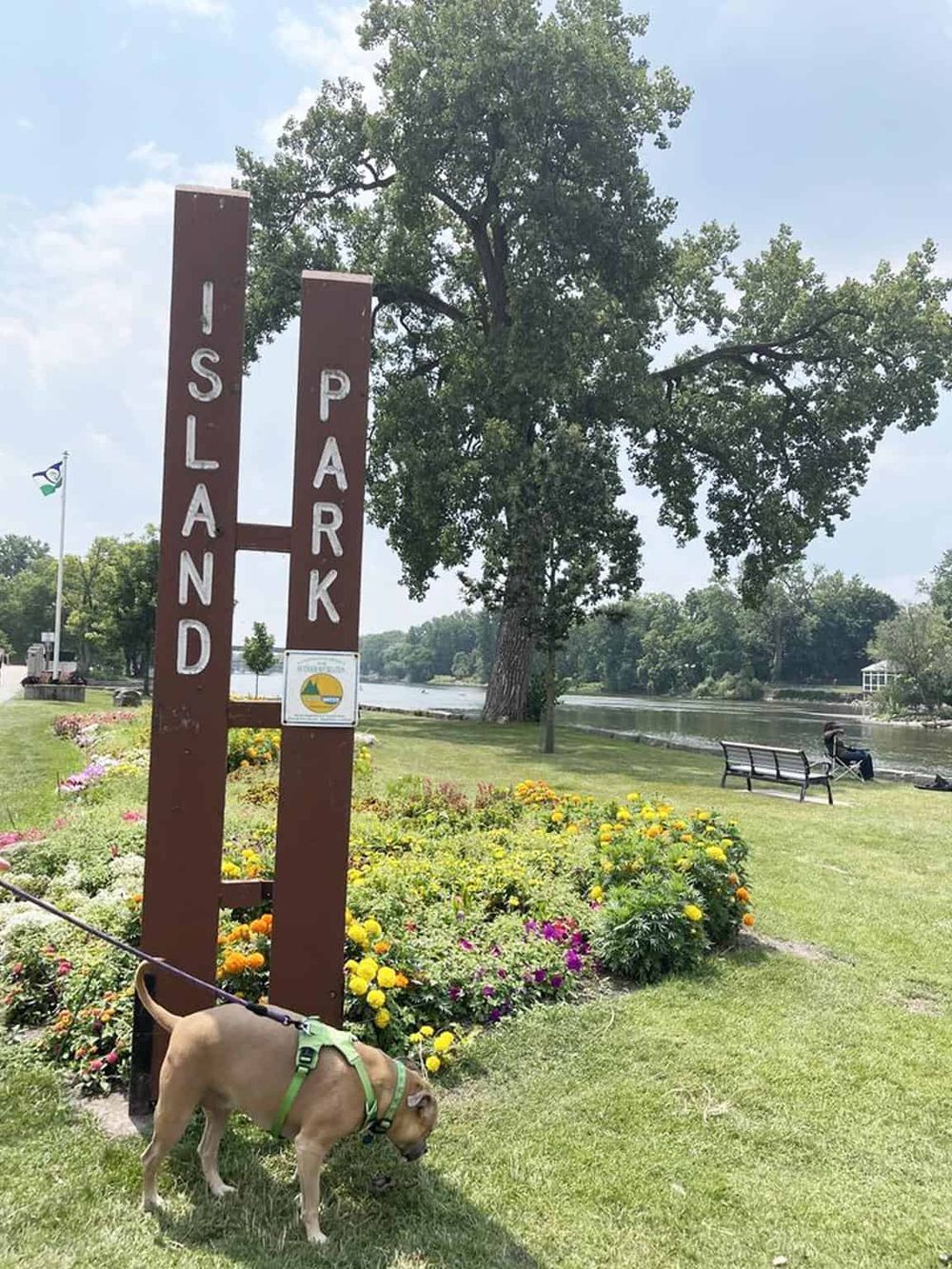 Lush park along river with landmark sign, dog on leash, benches, and colorful flowers for outdoor recreation and relaxation.