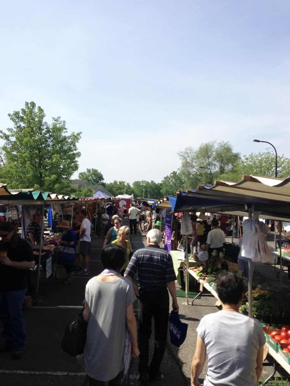 Vibrant farmer's market with fresh produce and local vendors on a sunny day.