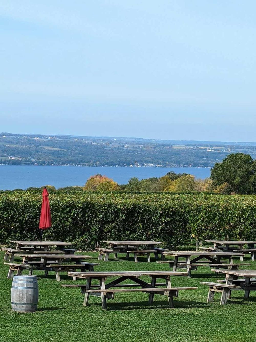 Vineyard outdoor seating with picnic tables overlooking a lake and scenic landscape.