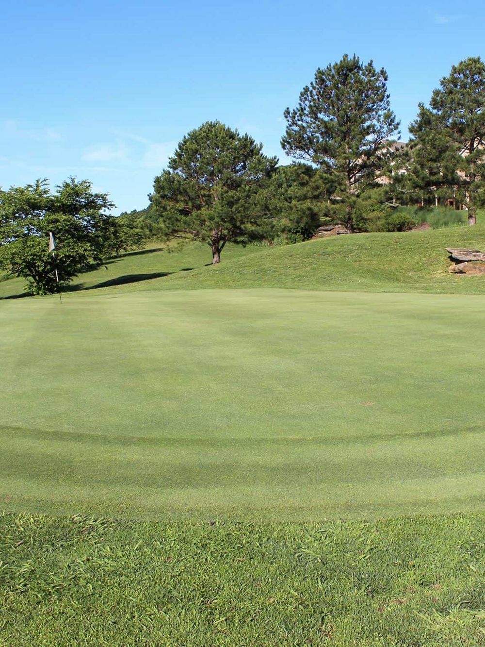Lush golf course with green fairways, trees, and clear blue sky, ideal for outdoor golf recreation.
