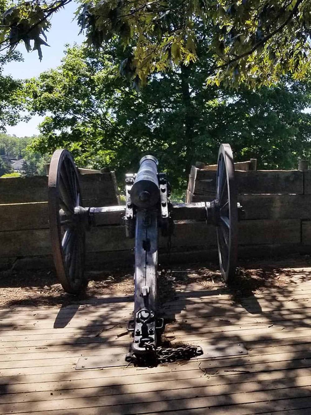 Bellows cannon on wooden deck with trees in background.