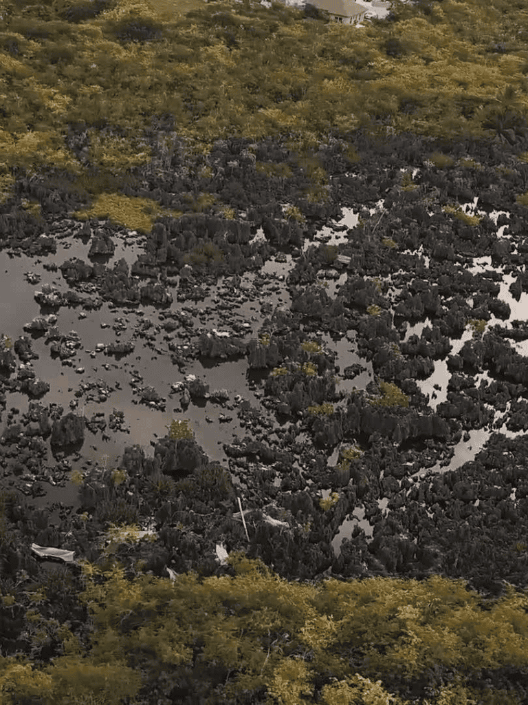 Steep rocky terrain with sparse vegetation and water pools, showcasing rugged natural landscape.