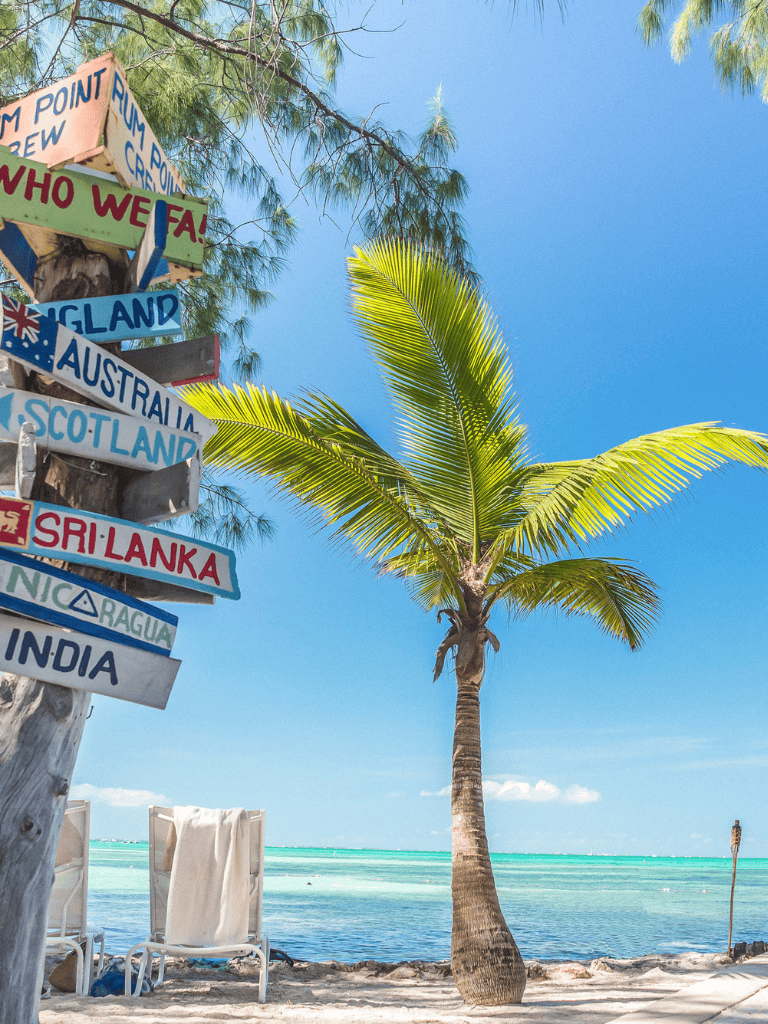 Colorful world map signpost on a tropical beach with palm tree and ocean view.
