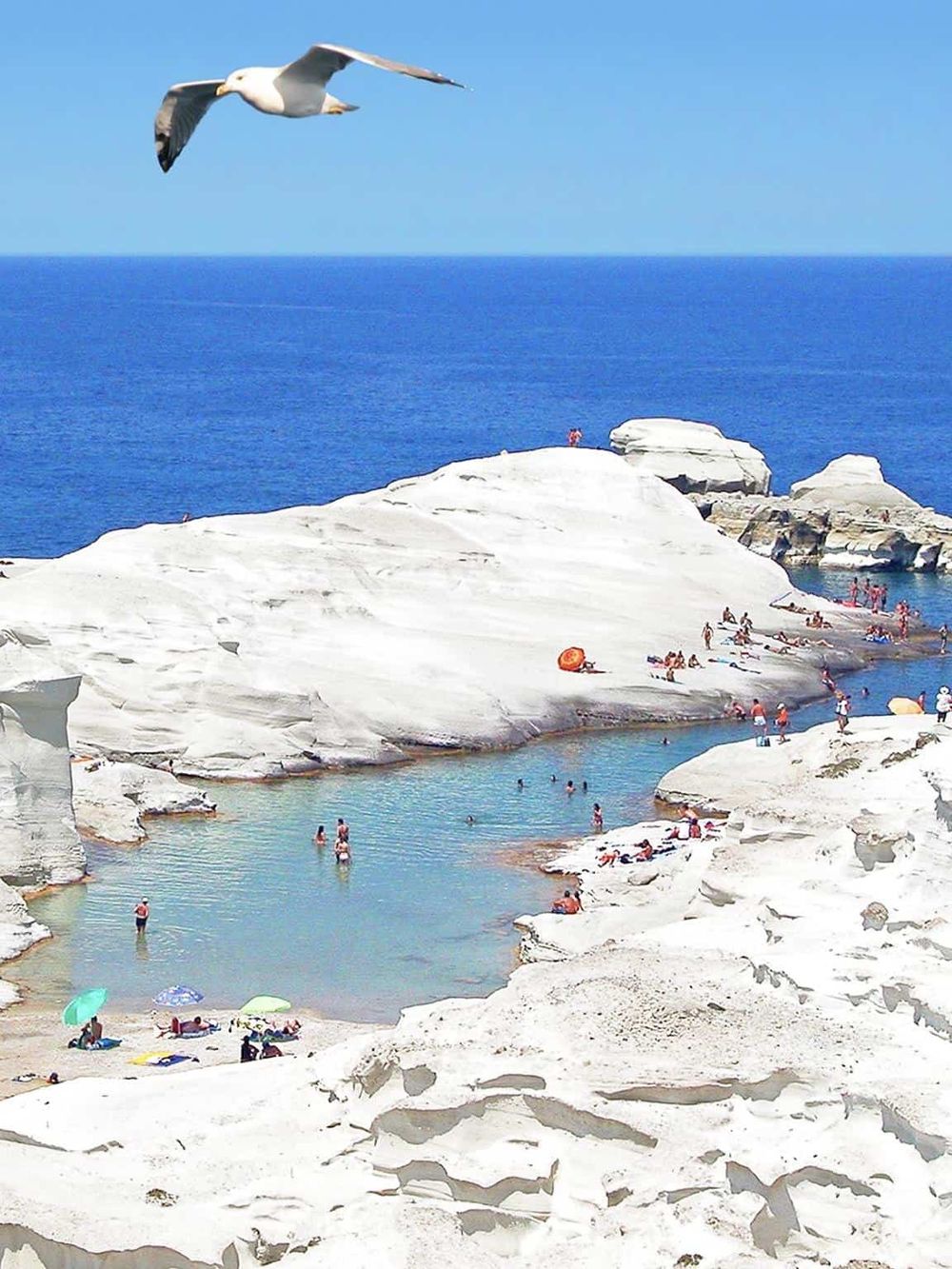 Seagull flying over white rocky beach with people swimming and relaxing by the seawater in a scenic coastal location.