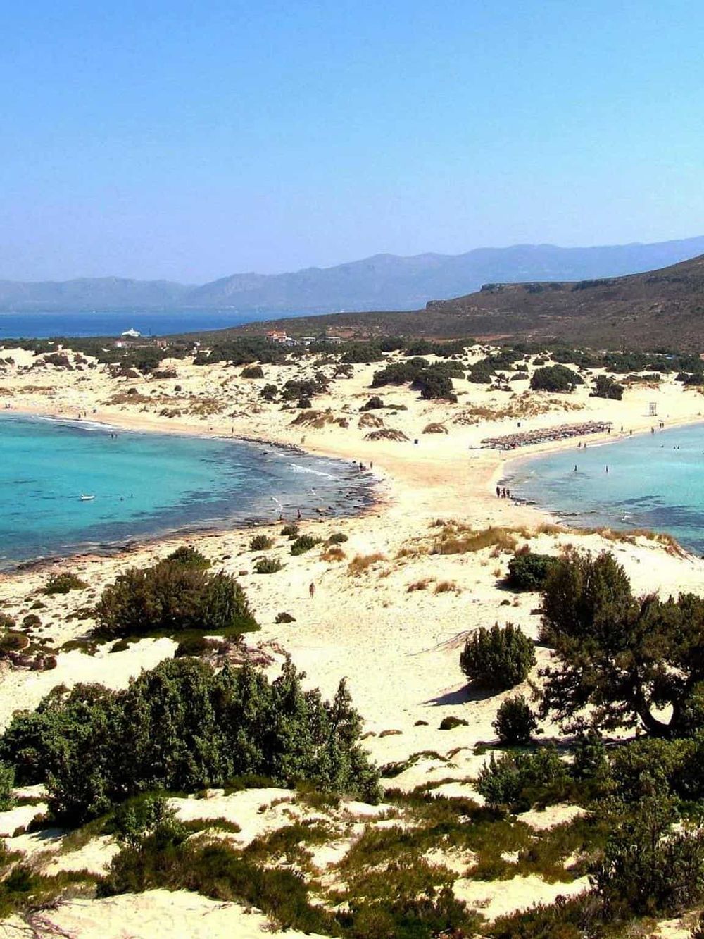 Stunning sandy beach with turquoise waters and green shrubbery, perfect for ocean adventures.