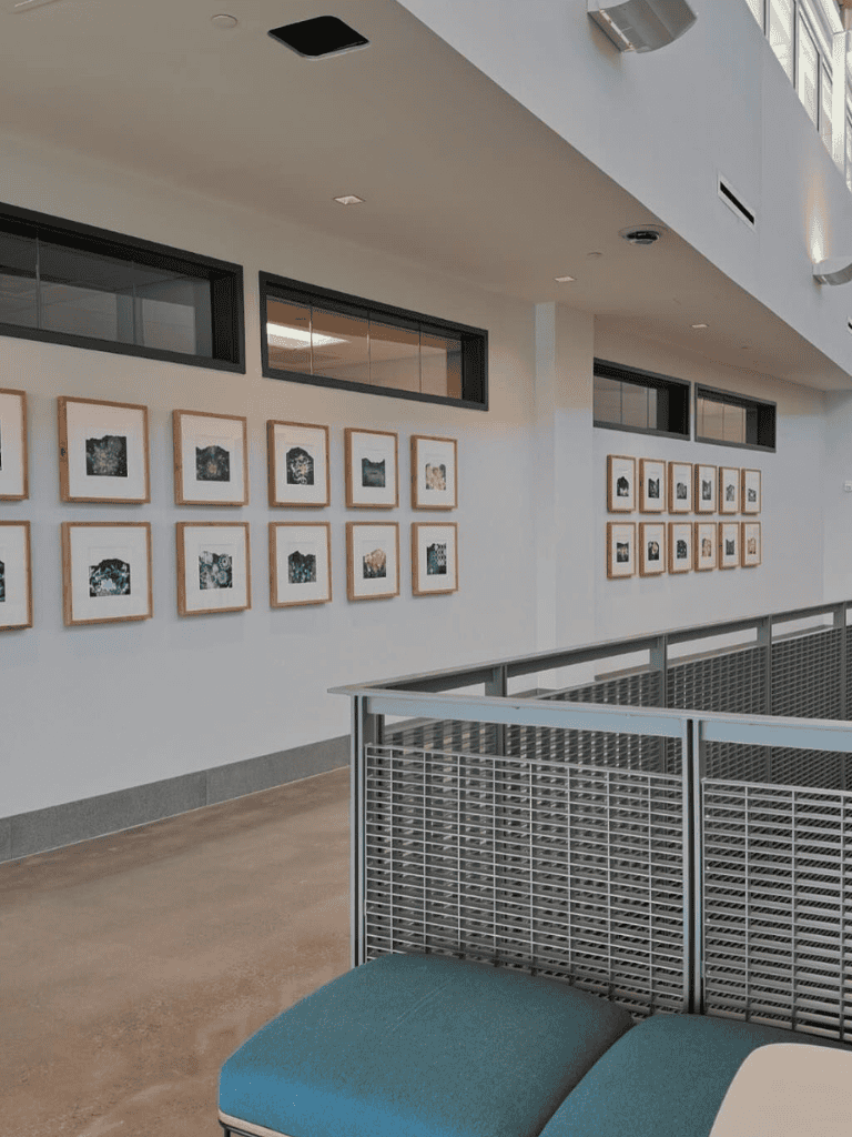 Contemporary art gallery with framed photographs displayed along white walls.