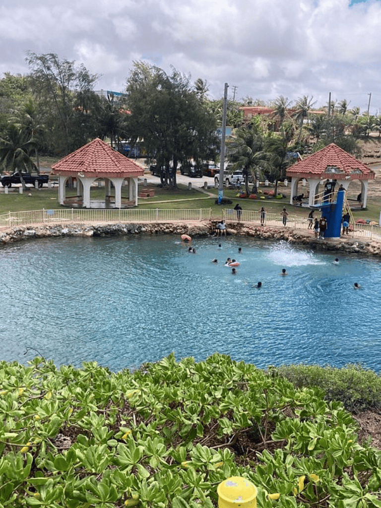 Kids swimming in a city park pool with gazebo and palm trees, family-friendly outdoor recreation near QuestForDirections.