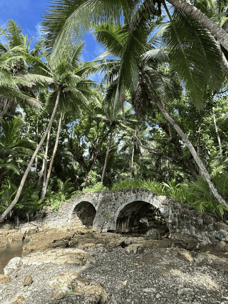 Lush tropical palm trees with stone bridge, sandy riverbank, vibrant green foliage, sunny outdoor scene, natural landscape, QuestForDirections.