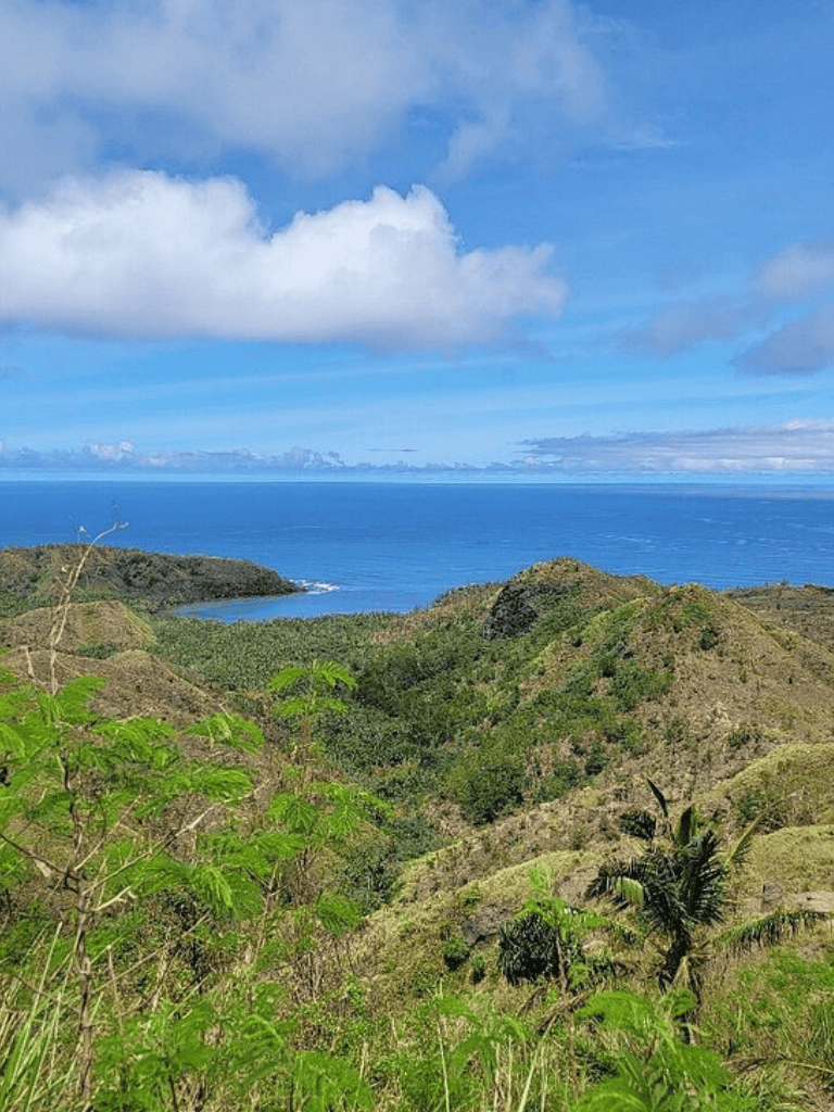 Breathtaking coastal view with lush green hills and the deep blue ocean in the background.