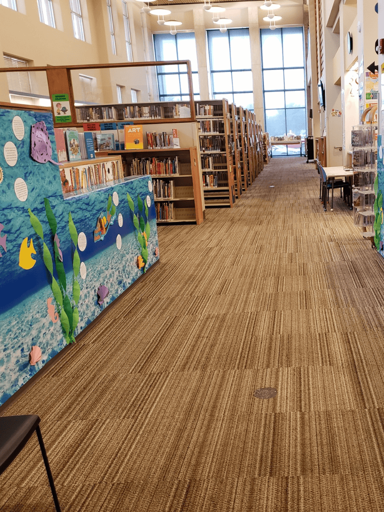 Bright school library interior with bookshelves, colorful children's display, and reading area for young learners.