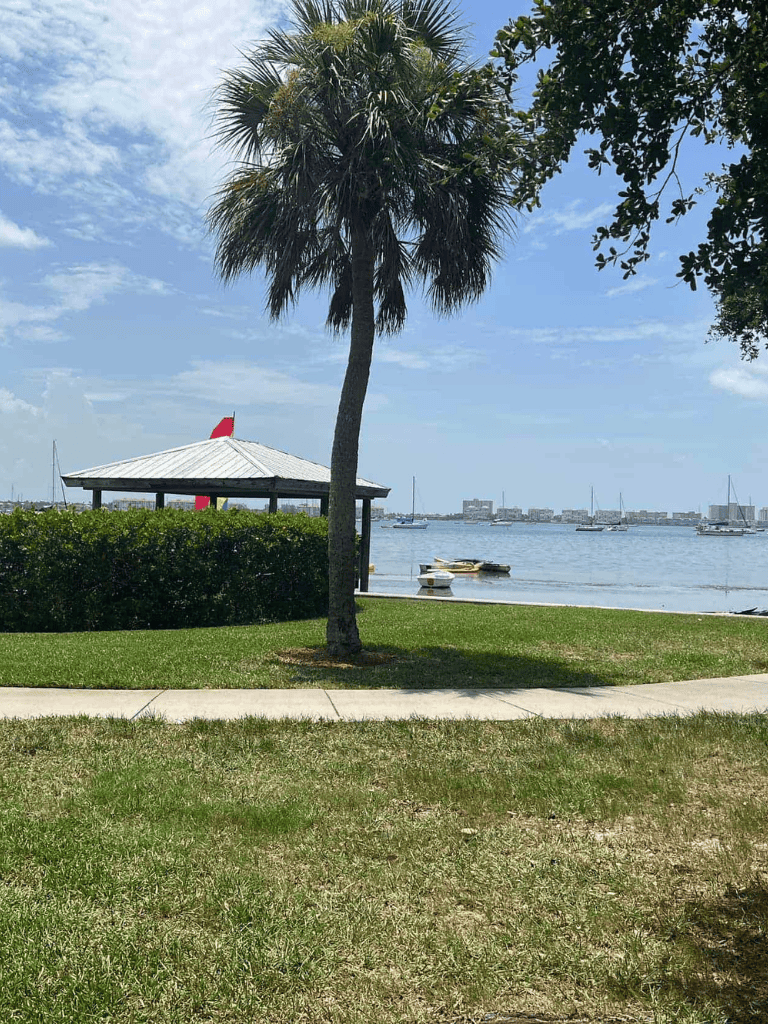 Bright waterfront park with palm trees, ocean, and sailboats in the background, perfect for outdoor relaxation.