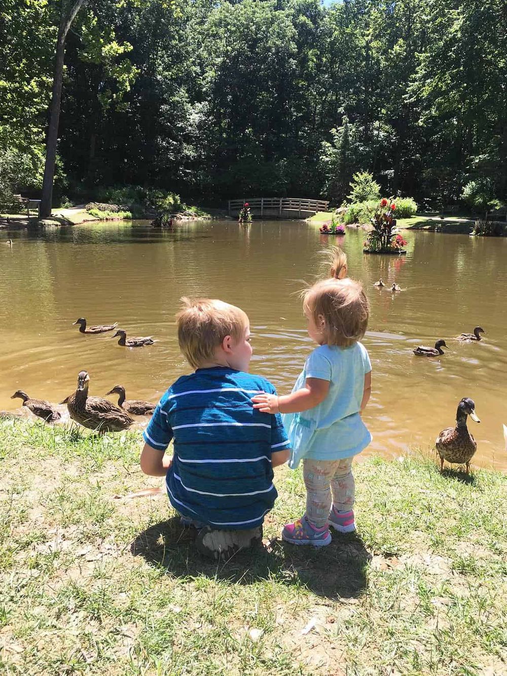 Children feeding ducks at a peaceful park pond for family outdoor activities.