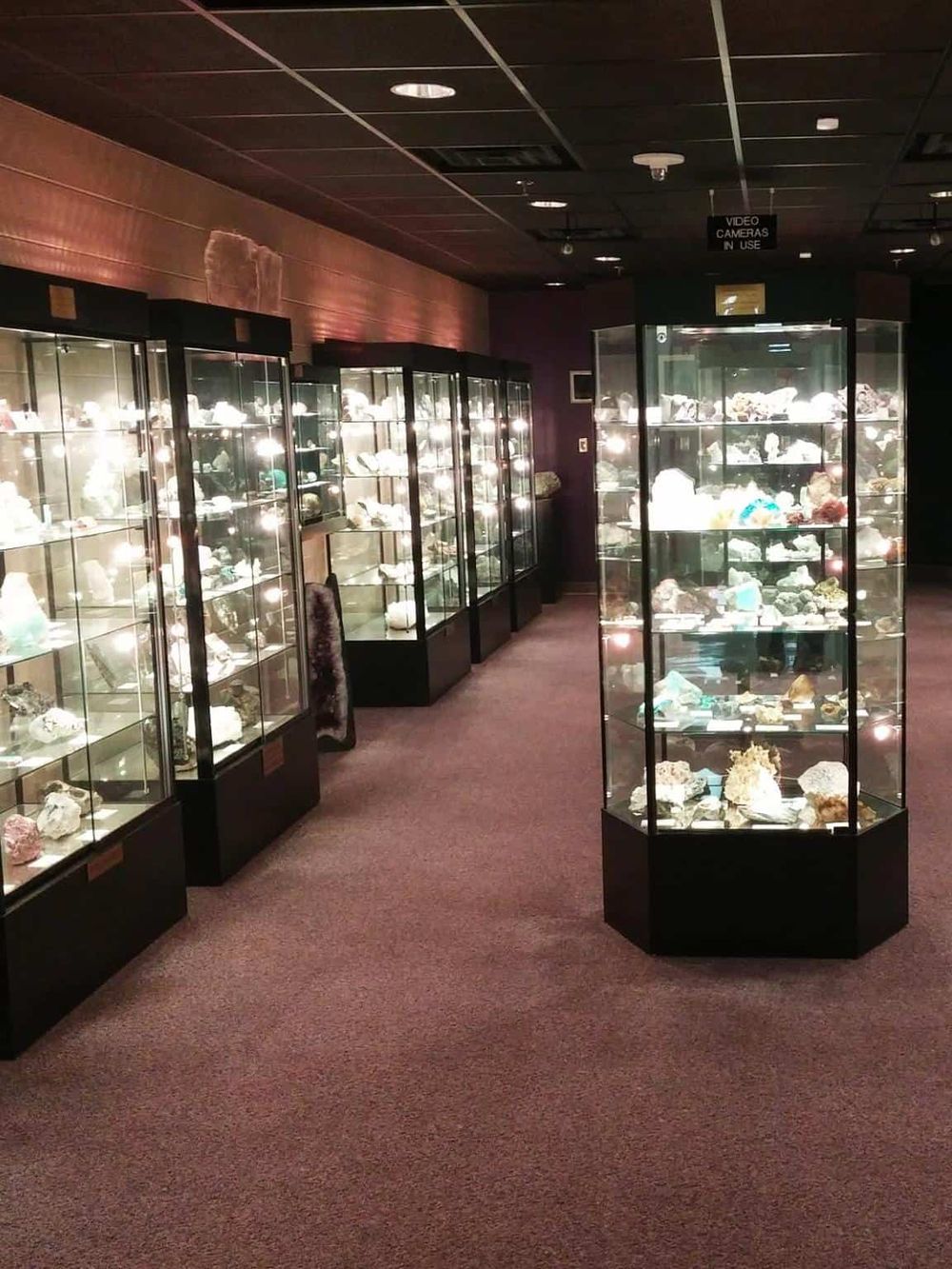 Colorful mineral and gemstone display cases at QuestForDirections, a knowledgeable destination for minerals and rocks.