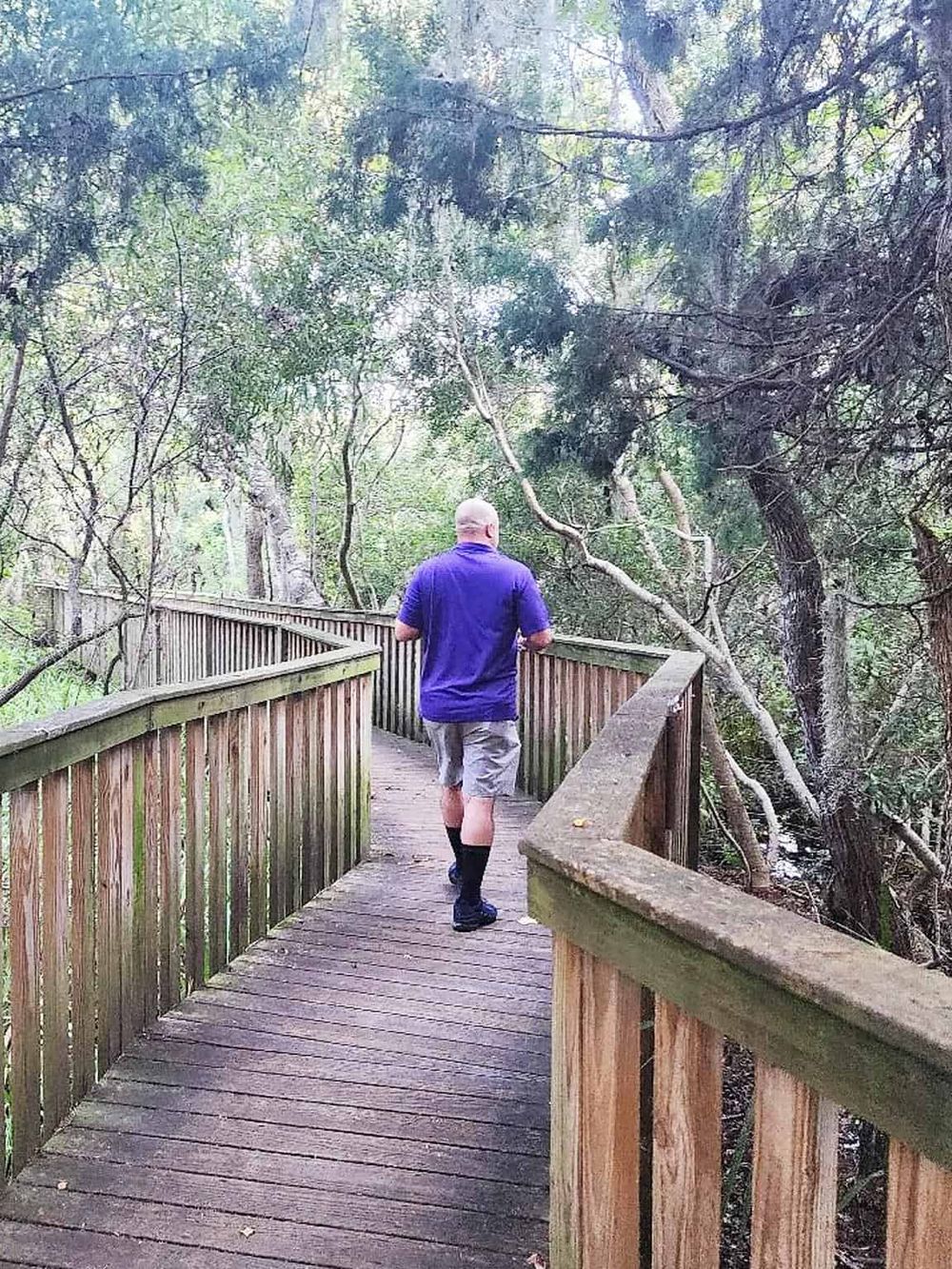 Secluded forest trail with wooden railing, perfect for nature walks and outdoor adventure.