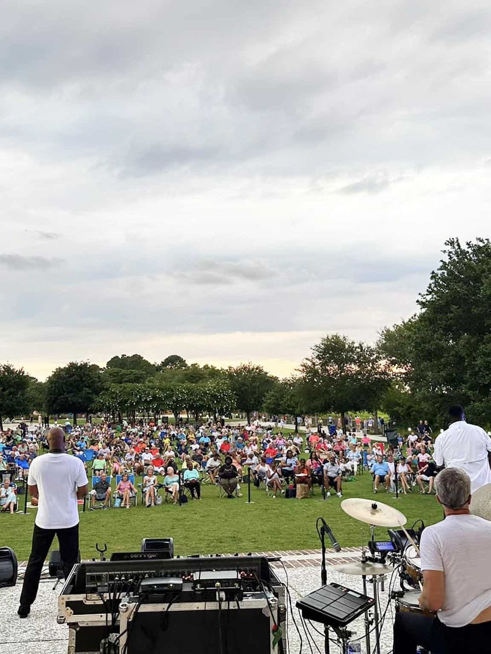 Crowd enjoying outdoor event at a park with live music performance and a diverse audience.
