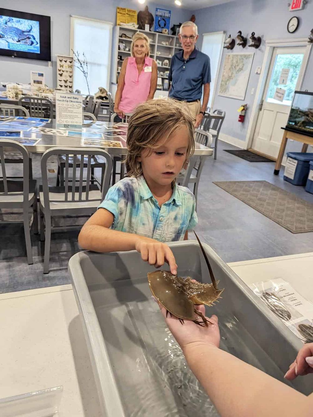 Bright young boy exploring marine life at a natural history museum with adults and an educational exhibit.