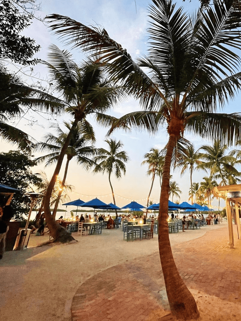 Beachside dining with palm trees and ocean views at QuestForDirections beach resort.
