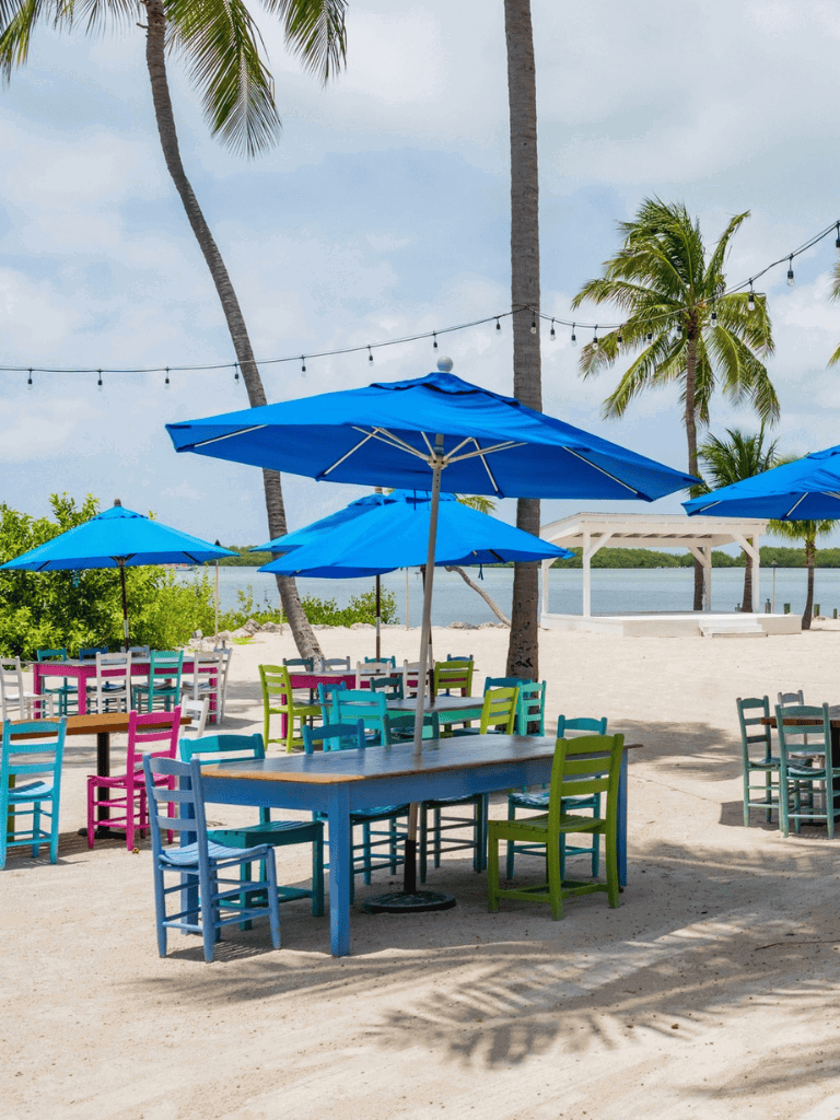 Colorful outdoor beach restaurant with blue umbrellas, palm trees, and ocean view.