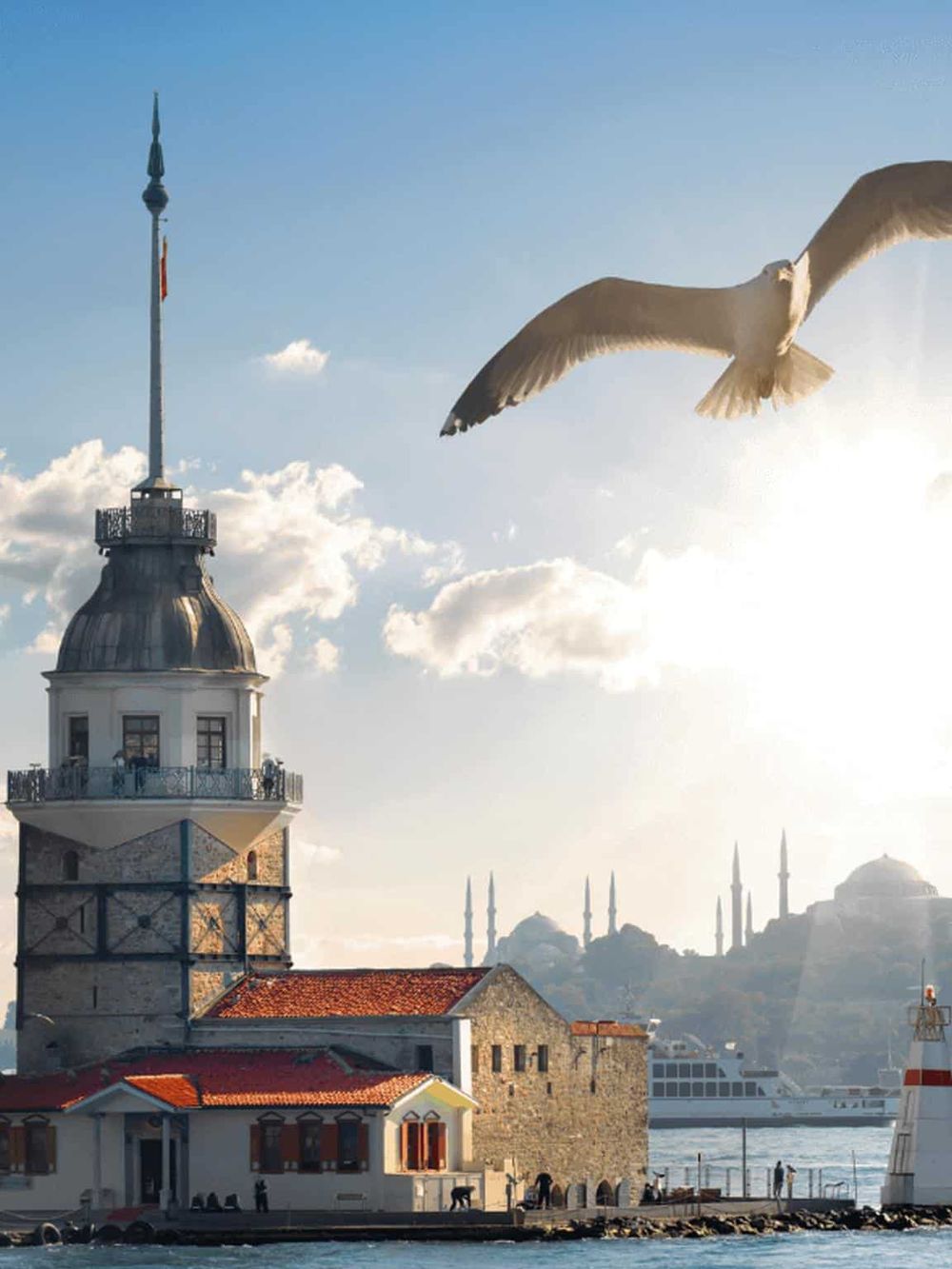 Maritime cityscape with historic clock tower, seagull in flight, and Bosphorus skyline in Istanbul, Turkey.