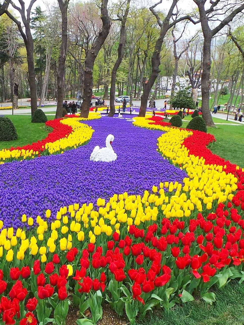 Colorful tulip garden with swan sculpture and park trees, perfect for springtime park visits and outdoor photo opportunities.